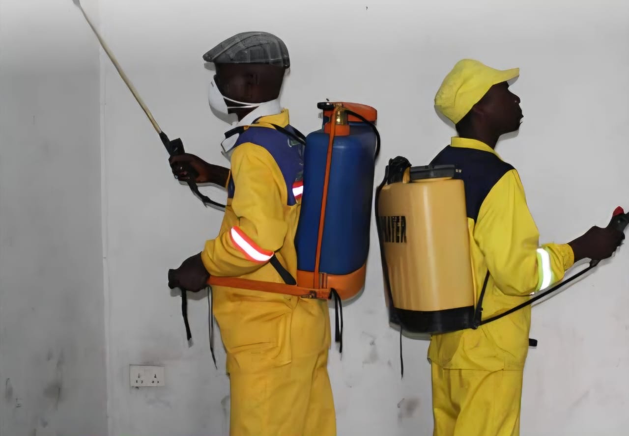 Professional pest control team at work